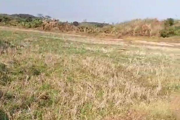Lokasi lahan bagus cocok untuk pariwisata terletak dekat ke akses jalan tol Sadang Subang sudah ada perairan sungai lahan rata