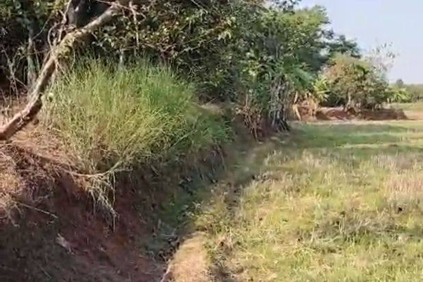 Lokasi lahan bagus cocok untuk pariwisata terletak dekat ke akses jalan tol Sadang Subang sudah ada perairan sungai lahan rata