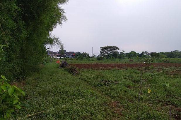 Tanah Kaveling Murah Area Cibinong Hanya 1jt an shm