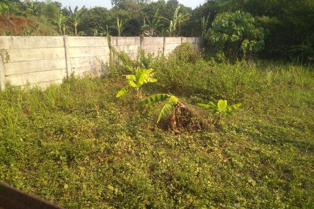 Tanah Kaveling Bomang Murah Hanya 5jt an shm