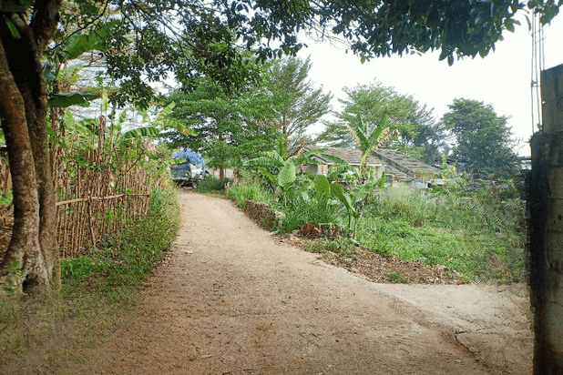 Tanah Murah Kalisuren Hanya 1jt An Dekat Taman Herbal Insani Depok