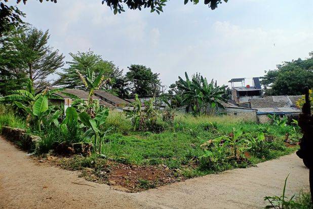 Tanah Murah Kalisuren Hanya 1jt An Dekat Taman Herbal Insani Depok