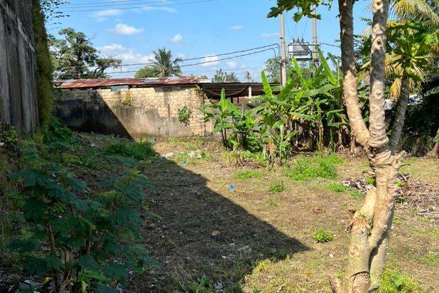Tanah Ciomas Luas 85 Murah Hanya 2jt An Dekat Stasiun Bogor