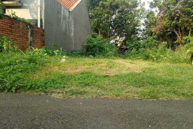 Tanah Murah Cilendek Timur 336 M2 Hanya 4jt Dekat Transmart Yasmin