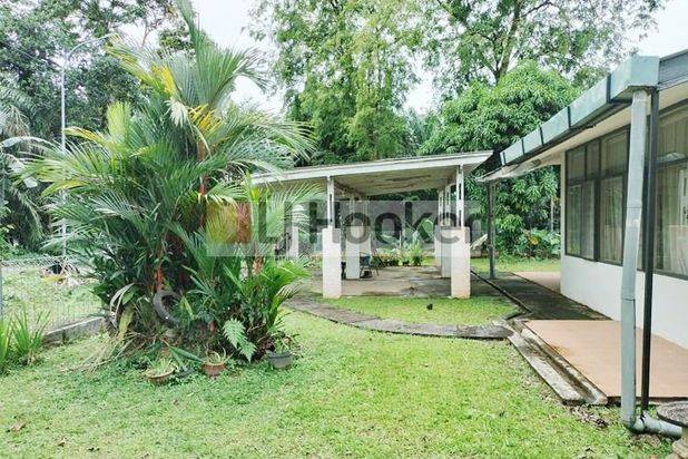 Rumah hook furnsih dengan halaman luas siap pakai di Tiban Palapa