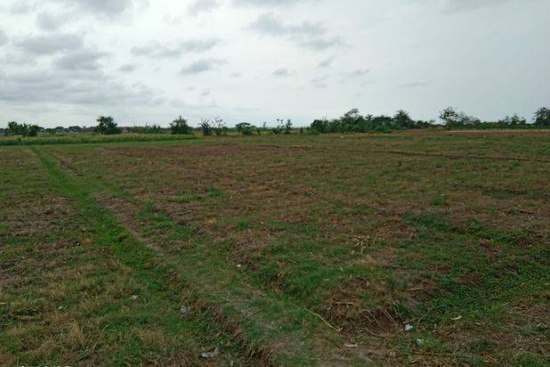 Dijual Lahan di Kawasan Industri Ciledug Pabedilan Citebon