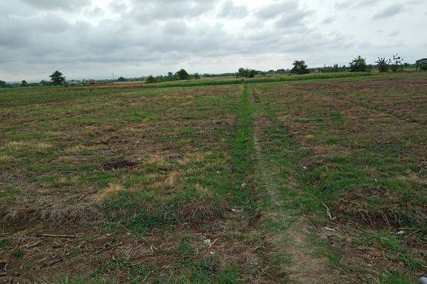 Dijual Lahan di Kawasan Industri Ciledug Pabedilan Citebon