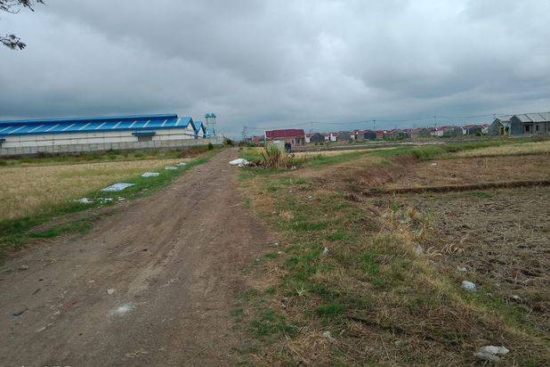 Dijual Lahan Sawah Kawasan Industri di Ciledug Pabedilan