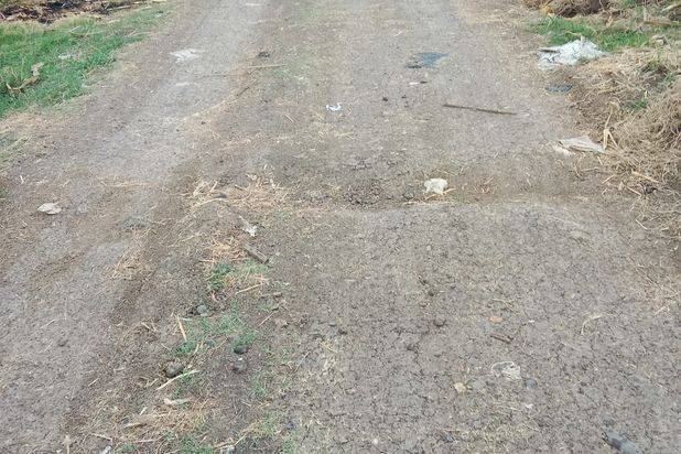 Dijual Lahan Sawah Kawasan Industri di Ciledug Pabedilan