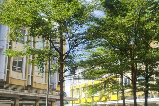 Dijual Cepat Ruko Emerald 3 Lantai Lebar 6x17 Siap Pakai Lokasinya Strategis, Bekasi 029
