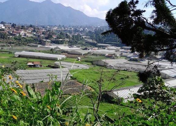 Jual Cepat Tanah di Parongpong Depan Komplek Peak Giri Indah