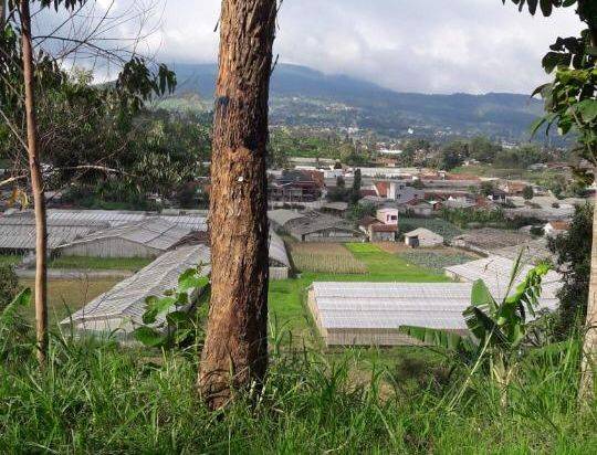 Jual Cepat Tanah di Parongpong Depan Komplek Peak Giri Indah