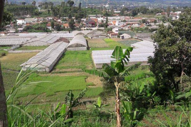 Jual Cepat Tanah di Parongpong Depan Komplek Peak Giri Indah