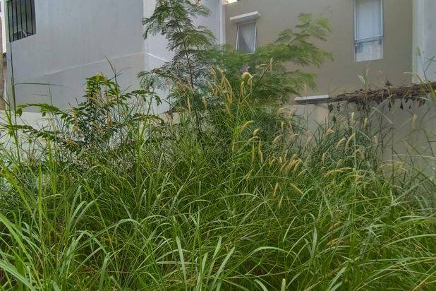 Dijual Cepat Rumah Cantik Beverly Green Batam Center Harga Murah
