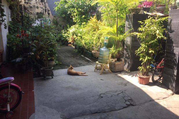 Rumah Manyar Rejo Surabaya Timur Murah RON.A1198