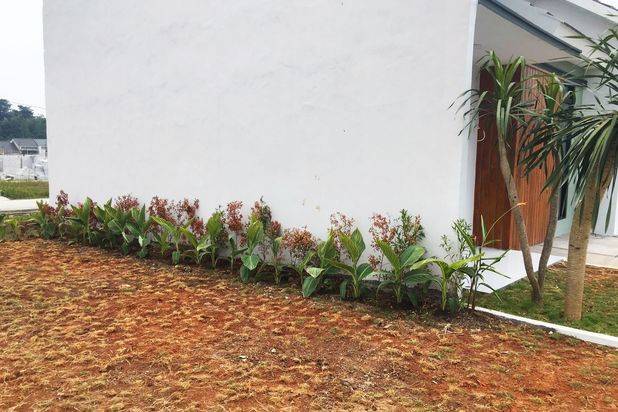 Rumah Murah Dekat Stasiun Parung Panjang