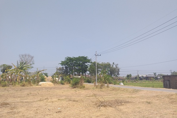 57 M Sdn Sempol 2, Tanah Murah, Maospati 