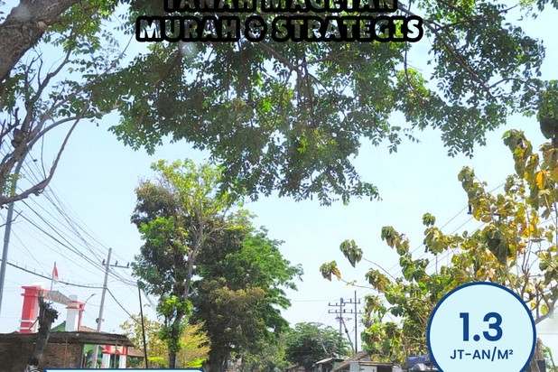 Tanah Maospati Shmp Dekat Unesa Magetan Kawasan Industri Magetan