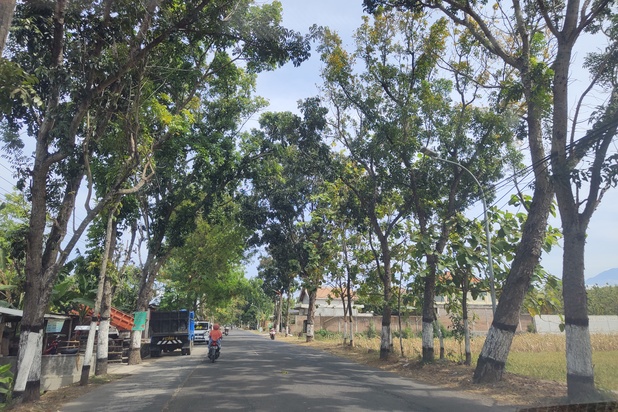 Tanah Murah Magetan Maospati, Dekat Jalan Raya Barat Maospati