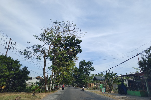 Tanah Murah Magetan Maospati, Dekat Jalan Raya Barat Maospati