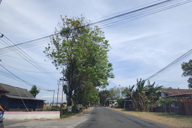 Tanah Murah Magetan Maospati, Dekat Jalan Raya Barat Maospati