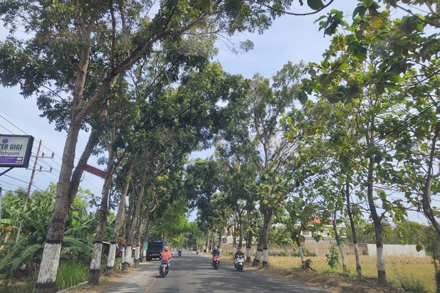 Tanah Murah Magetan Maospati, Dekat Jalan Raya Barat Maospati