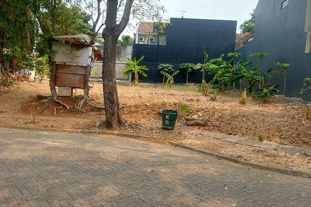 Kavling ngantong di Puspita Loka BSD dekat sekolah Al Azhar