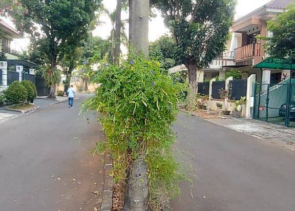 Kavling ngantong di Puspita Loka BSD dekat sekolah Al Azhar