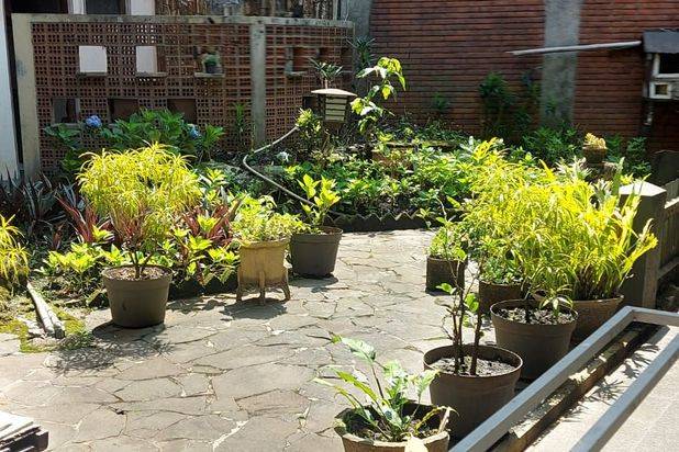 Jual cepat Rumah antik lokasi pusat kota Bandung Sayap Riau ,dkt taman Pramuka Bengawan,jarang ad tanah luas