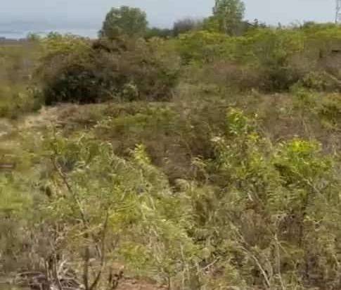 Di jual cepat Tanah Murah kampial nusa Dua ,Jl Dharmawangsa,Nusa DuaBenoa Kuta Selatan ,Badung, Bali.jarang ada ,jalan Bagus sudah aspal