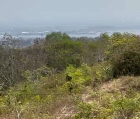 Di jual cepat Tanah Murah kampial nusa Dua ,Jl Dharmawangsa,Nusa DuaBenoa Kuta Selatan ,Badung, Bali.jarang ada ,jalan Bagus sudah aspal
