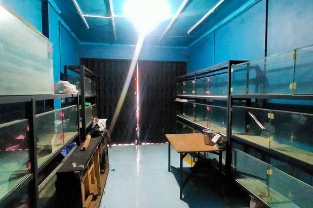 Di jual Cepat Ruko3 Lantai Murah ,kokoh Mainroad komplek Batununggal Indah ,jarang ada lokasi trategis Cck U/ usaha
