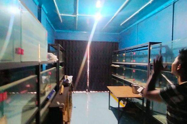 Di jual Cepat Ruko3 Lantai Murah ,kokoh Mainroad komplek Batununggal Indah ,jarang ada lokasi trategis Cck U/ usaha