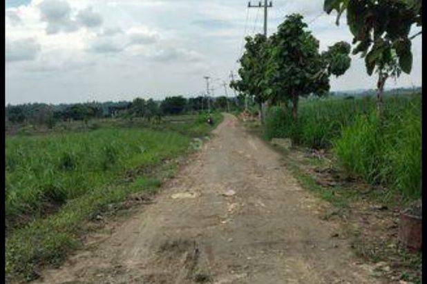 Tanah perkebunan di Ngimbang Lamongan
