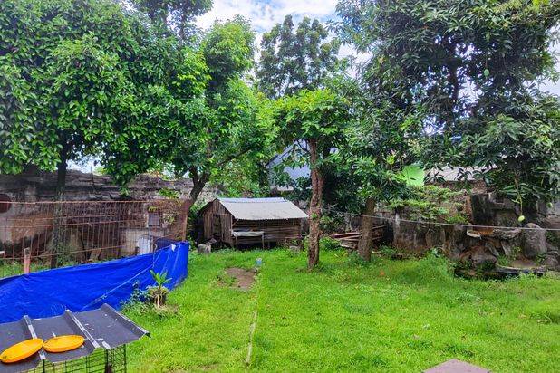 Tanah Bonus Rumah di Beji Depok Lokasi Dekat Tol Kukusan Murah