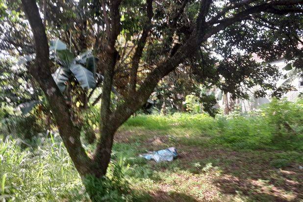 Tanah Dekat Stadion Pakansari di Jalan Cibinong Bogor Murah SHM