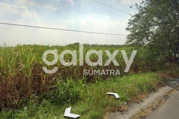 Tanah di Jl. Mojokerto - Lamongan , Mojokerto 8 ha