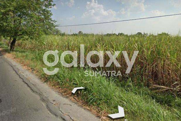 Tanah di Jl. Mojokerto - Lamongan , Mojokerto 8 ha