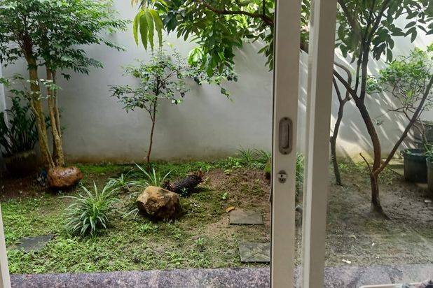 Rumah Minimalis Wisata Bukit Mas Wbm Dekat Citraland, Graha