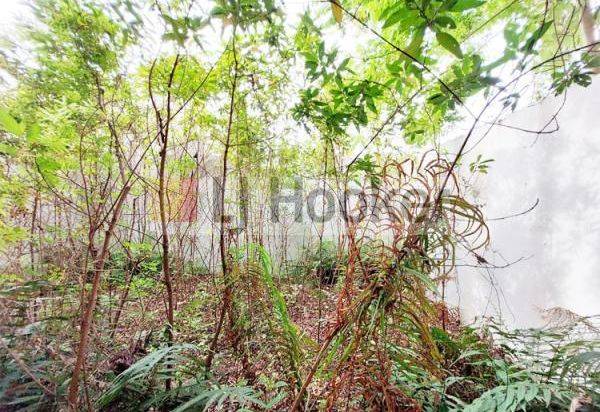 Rumah Cluster 2 Lantai Di Perum Orchard Park
