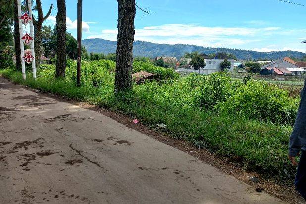 Tanah di Cikole