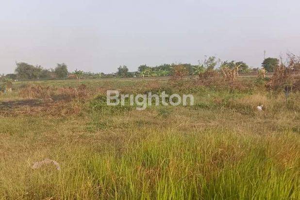 TANAH KAVLING SIAP BANGUN DI SIDODADI-SIDOARJO