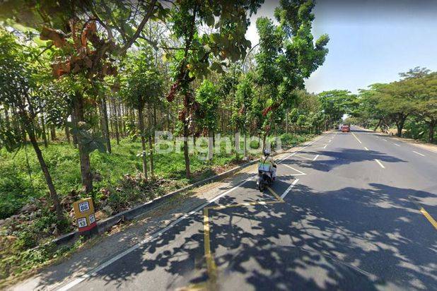 TANAH 1,5 HEKTAR, 0 JALAN NASIONAL MURAH