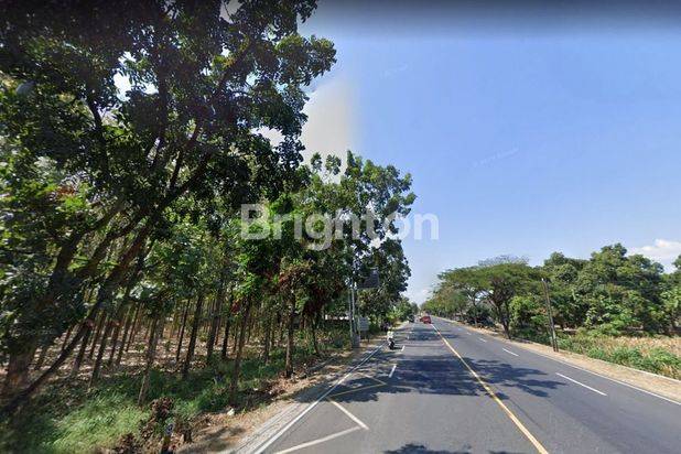 TANAH 1,5 HEKTAR, 0 JALAN NASIONAL MURAH