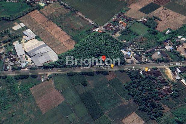 TANAH 1,5 HEKTAR, 0 JALAN NASIONAL MURAH