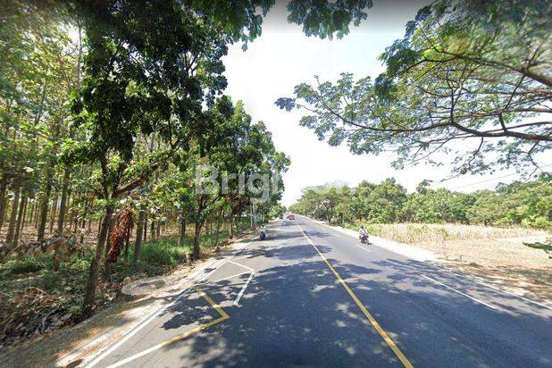 TANAH 1,5 HEKTAR, 0 JALAN NASIONAL MURAH