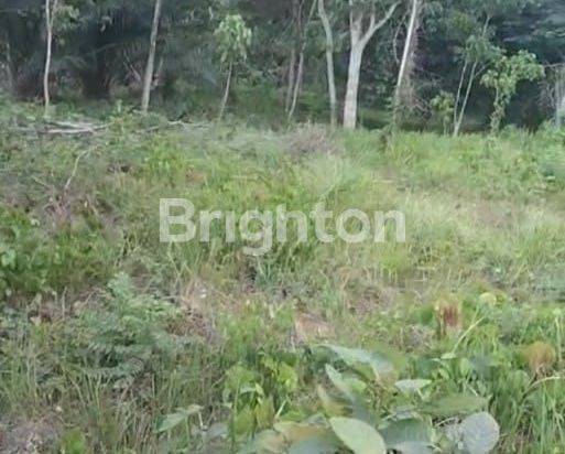 Tanah 1 Hektar di tengak kota Ibukota negara