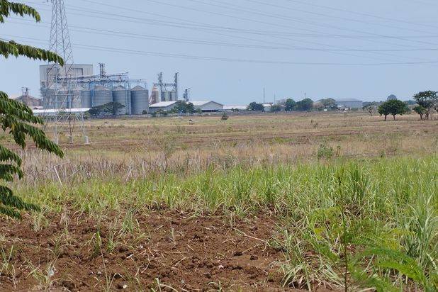 Tanah Sawah Pintu Masuk Tol Palikanci- CEPAT!!!