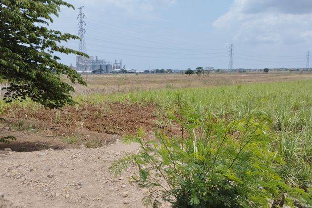 Tanah Sawah Pintu Masuk Tol Palikanci- CEPAT!!!