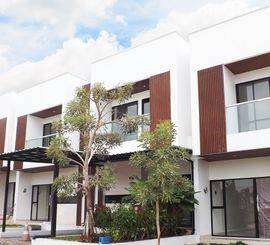 Green Bamboo Terrace